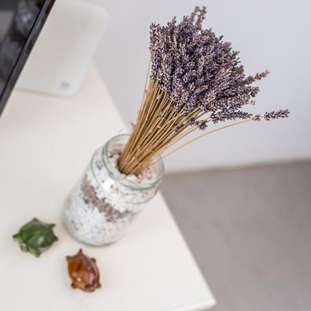 Euphoria Luxury Apartment Faliraki Eksteriør bilde